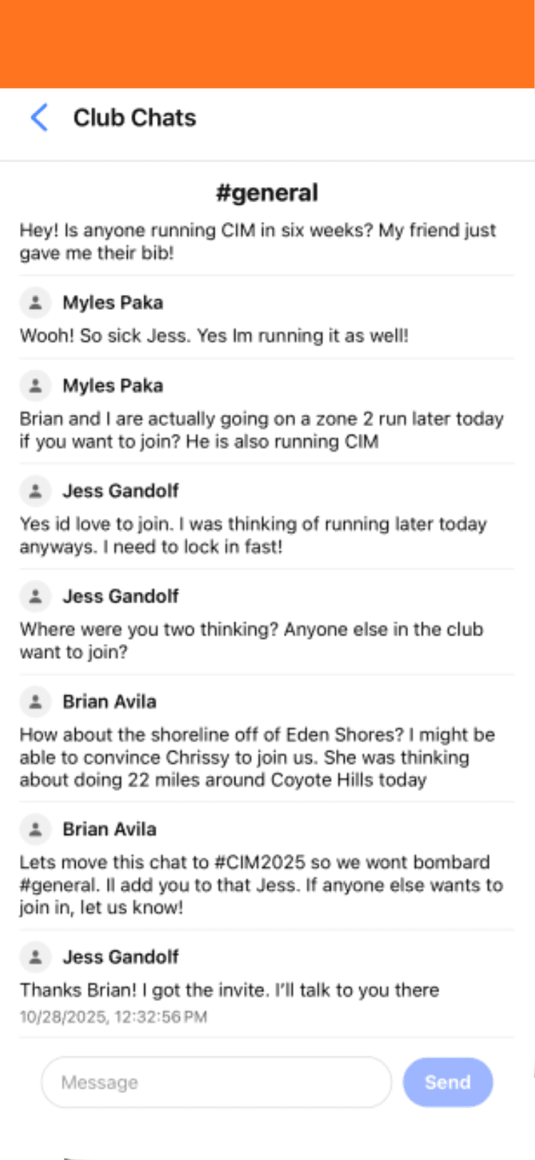 App screen showing chat interface